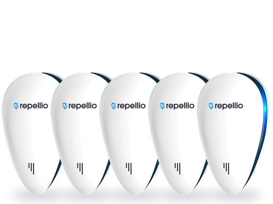 Repellio 5 pack