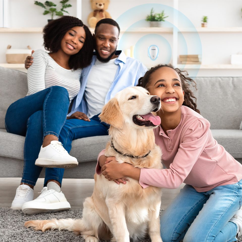 Family with a golden retriever relaxing on the sofa in a pest-free living room